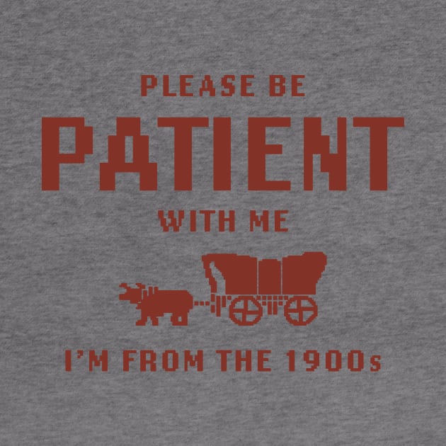 Please Be Patient with Me I'm from the 1900s shirt,  Funny Meme by CamavIngora